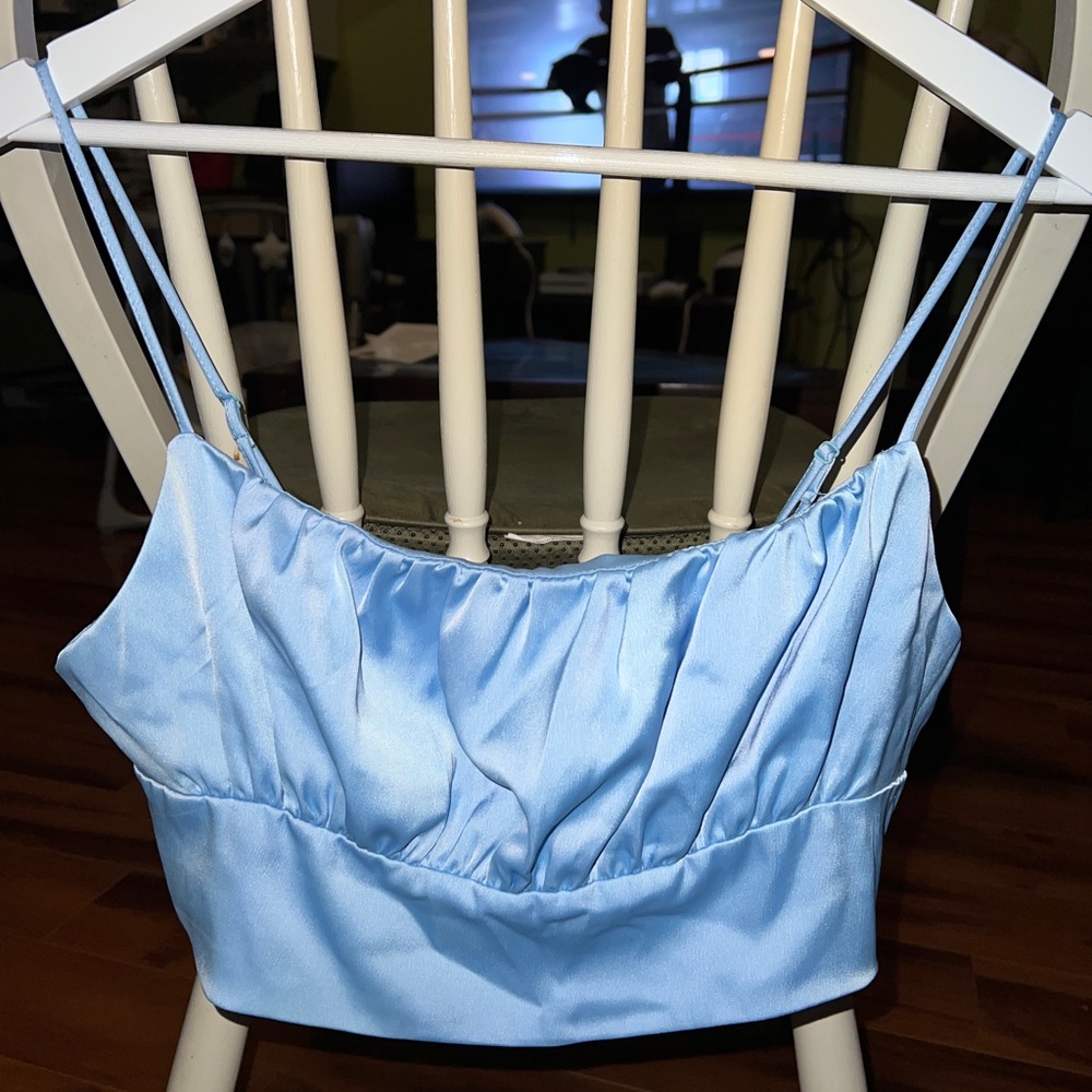 Cinderella Crop Top